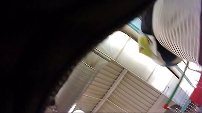 Trong phòng thay đồ của một cô gái, một cầu thủ sem sec vang anh bóng đá sau khi tắm xong thì nhảy một con cặc dài vào người học sinh da đen